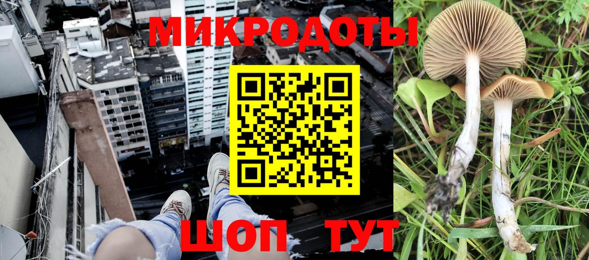 Галлюциногенные грибы GOLDEN TEACHER Михайловск