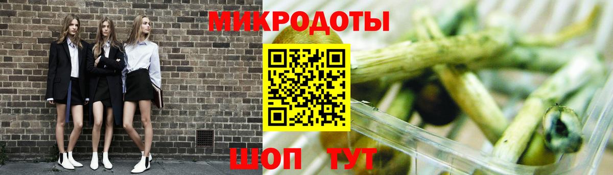 Михайловск  Псилоцибиновые грибы MAGIC MUSHROOMS  Вход с VPN 